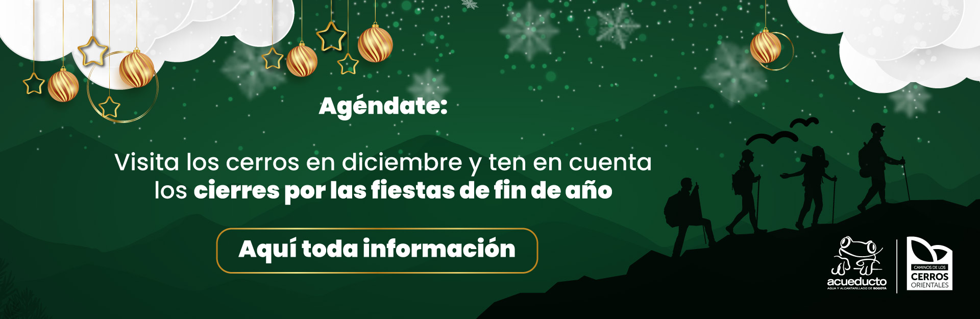 Boletines