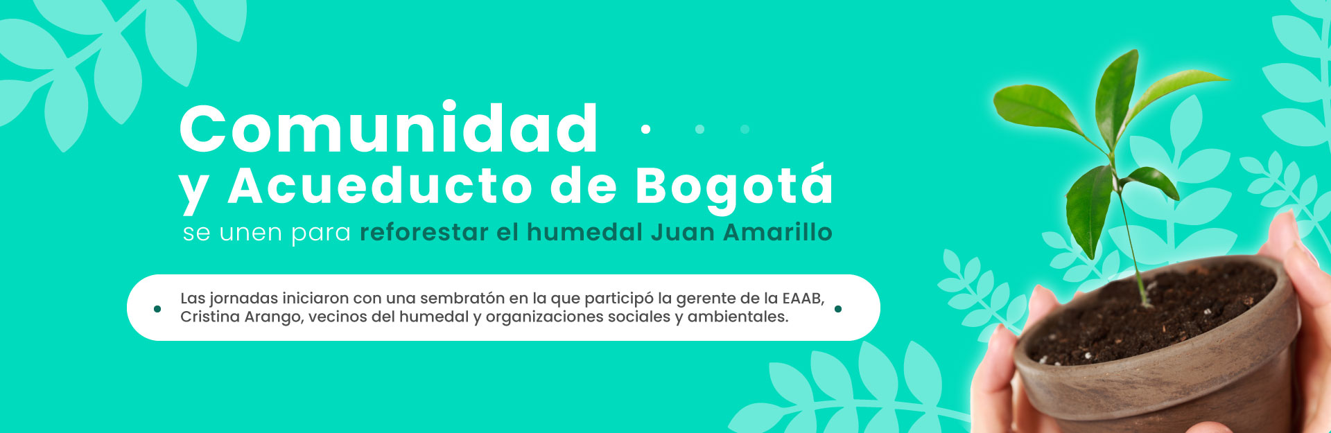 Comunidad y Acueducto de Bogotá se unen para reforestar el humedal Juan Amarillo