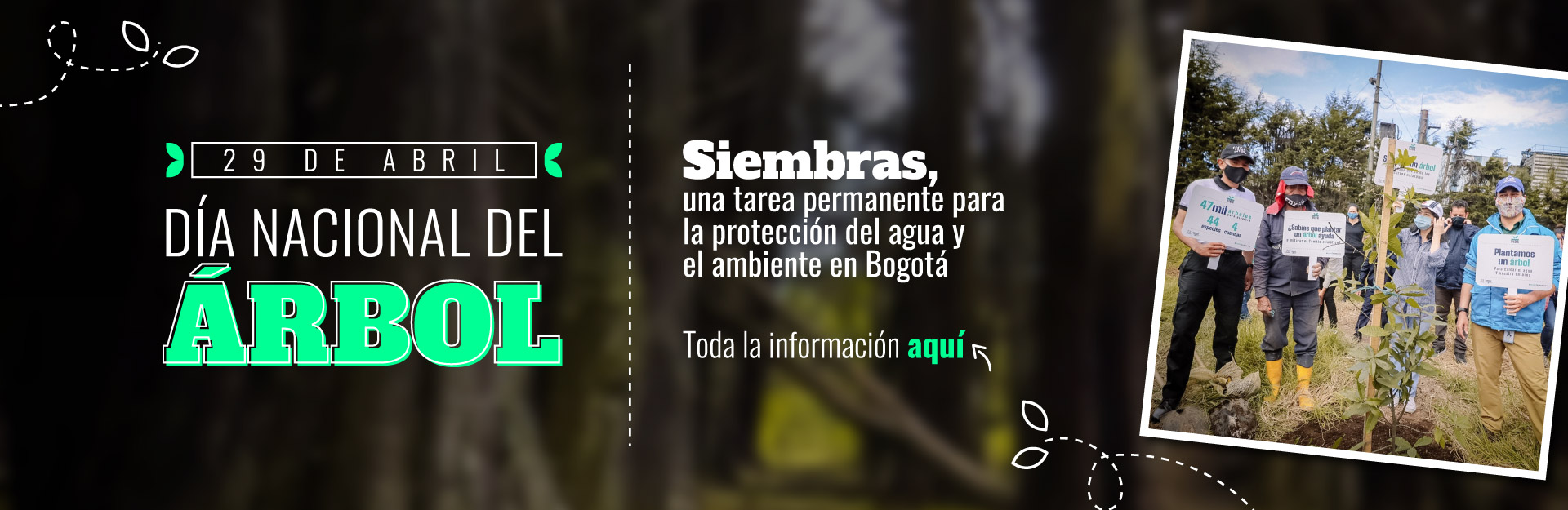 Acueducto de Bogotá ha sembrado más de 20 mil árboles en las cuencas de los ríos.