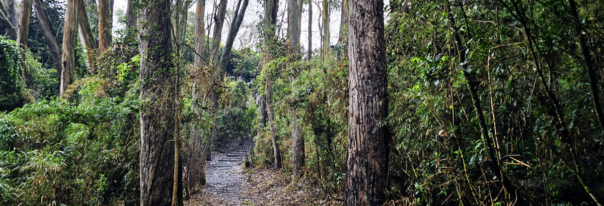 Banner de Conexión el Granizo