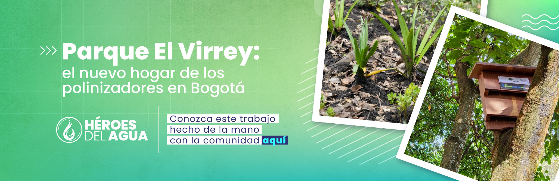 Parque El Virrey: el nuevo hogar de los polinizadores en Bogotá